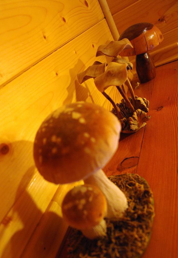 Chalet House Olga Crni Lug Kamer foto